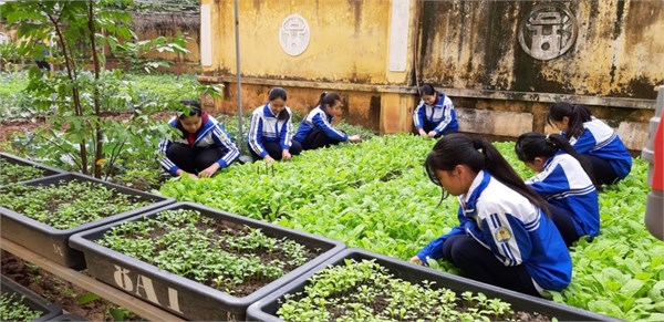 Một số hình ảnh chăm sóc Chương trình làm bạn nhà nông của các em học sinh trường THCS Thanh Liệt.