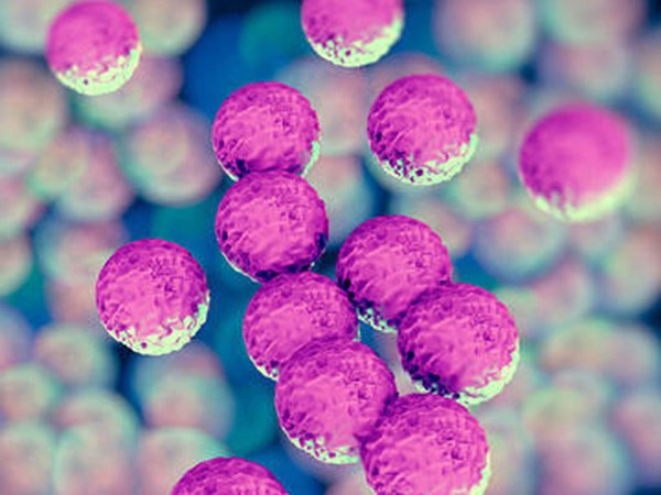 Những cách tự bảo vệ mình khỏi siêu vi khuẩn kháng thuốc